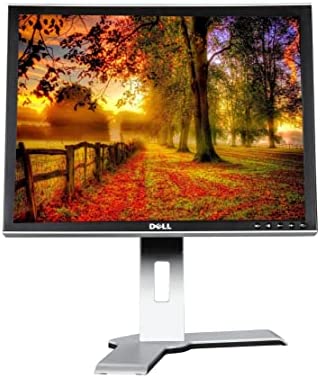Dell 2007FPB Computer Desktop Tower LCD 20 Inch Monitor, VGA, DVI Ports, 5ms Response time, 1600 x 1200 Resolution, 170° /178° Viewing Angle (Renewed) 2