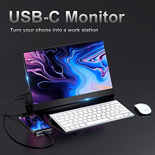Travel Monitor – Upgraded 15.6 Inch 1080P FHD HDR IPS FreeSync Ultra Slim USB-C Portable Display with Kickstand Dual Type-C Mini HDMI Dual Speakers for Laptop PC Mac Surface Xbox PS4 Switch Phone 3